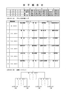 2016h28_tohoku_new_league-woman